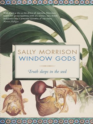 cover image of Window Gods